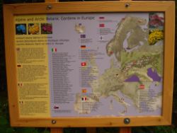 2013-08-18_Regina-F-Rau_Schachen_Alpengarten (514).JPG